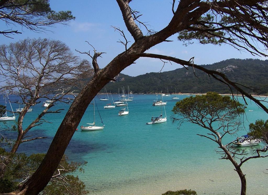 Le Cube Hotel Design A Hyeres Plage Avec Piscine Et Cuisine Exteriér fotografie